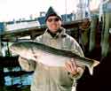 Jumbo Stripers
